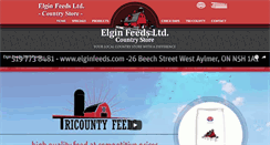 Desktop Screenshot of elginfeeds.com